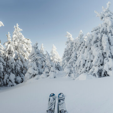 Skis ready