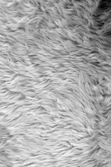 white carpet background, fabric texture