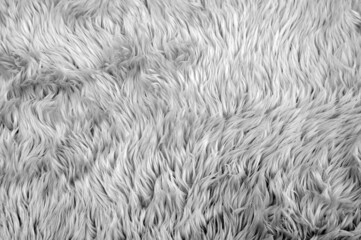 white carpet background, fabric texture