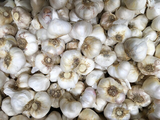 Organic garlic displayed at a market stand frame view of organic Gold Potatoes displayed at a market stand