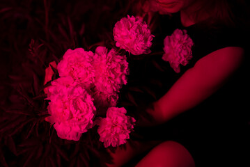 Flowers in red neon light