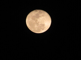 Obraz premium full moon in the night sky