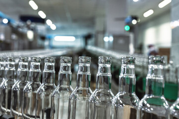 Conveyor belt carries clean glass bottles for alcohol drinks