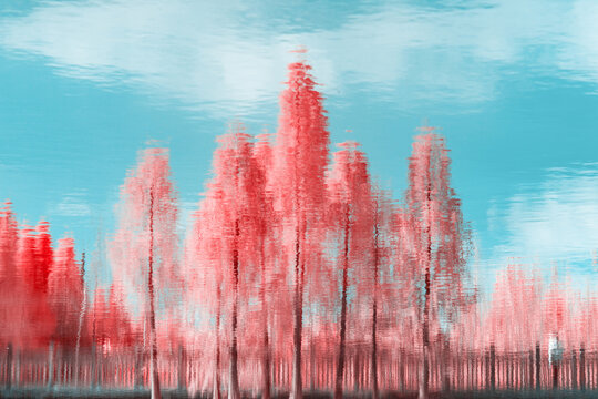 Infrared photography of water reflection of pine trees