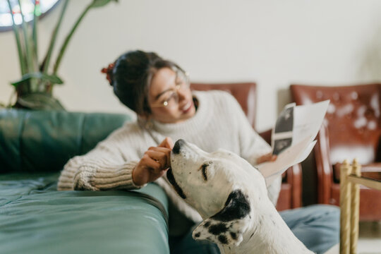 Dog getting treat 
