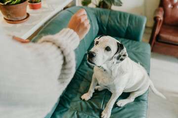 Senior recieving treat