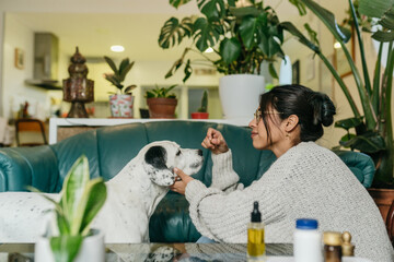 Calm dog recieving medicine from owner
