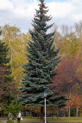 autumn in the mountains