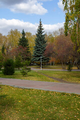 autumn in the park