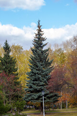 autumn in the mountains