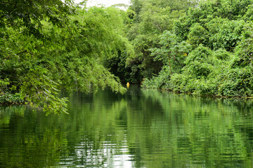 Green field and beautiful sky!