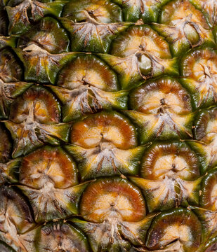 Close-up of pineapple crust 