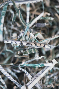 Shredded money