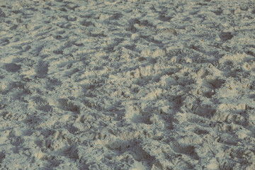 Footprints in the sand at sunset