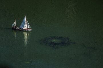 A Yacht approaching a Shoal of fish at the Nainital Lake