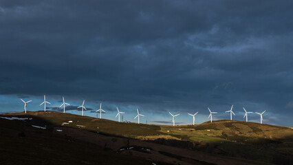 beautiful line of wind mills