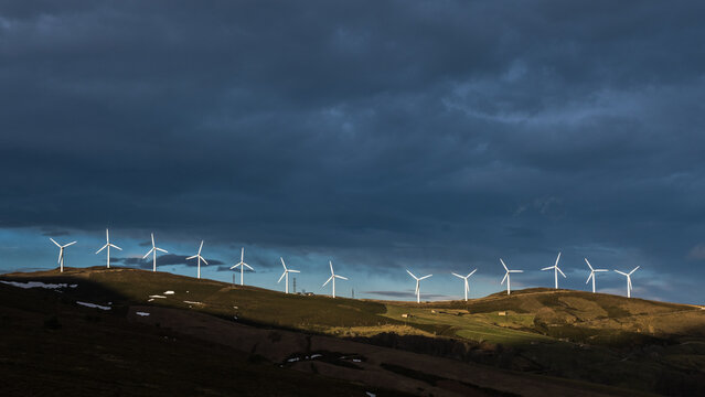 beautiful line of wind mills