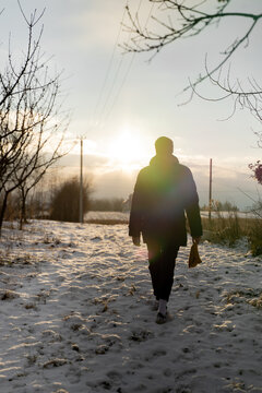 Dog Walking In Winter