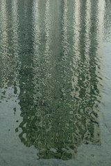 물 파도 파문 그림자 자연 호수 