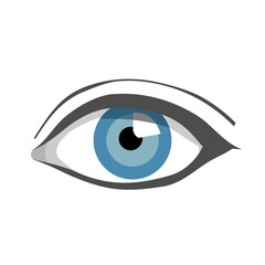 blue eye human anatomy vector design