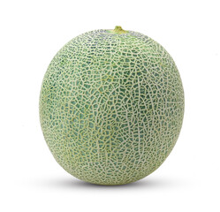 Cantaloupe melon on white background