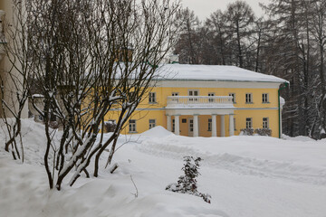 A vintage yellow manor house with white columns stands in a winter garden. It is surrounded by trees and a lot of snow. The drifts are deep and the trees are covered with snow.