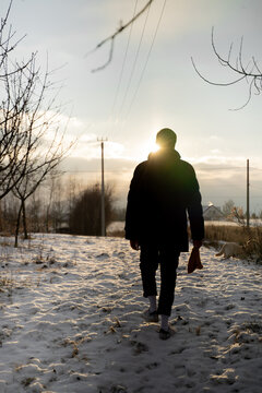 Walking Dog On Winter Day 