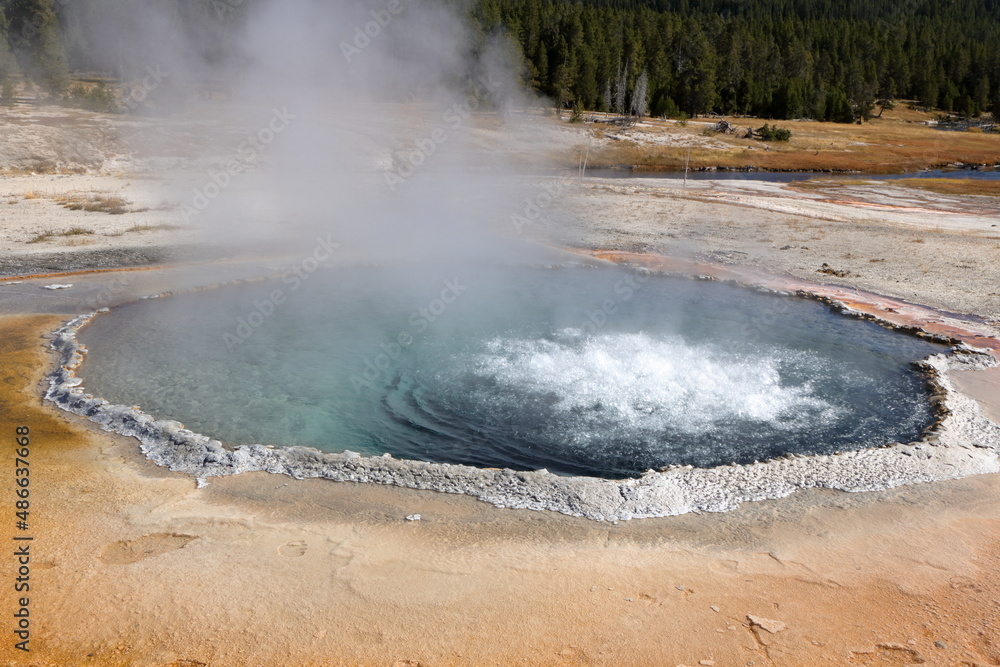 Wall mural Bubbling hot water of Crested Pool, Yellowstone National Park