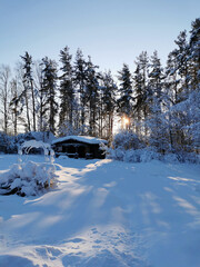 A dark one-story wooden house - a round log bathhouse in the snow among snow-covered trees on a cold clear day.