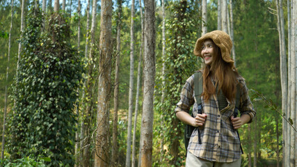 Happy young asian woman with backpack in the forest smiling and looking to the trees, enjoy traveling on holidays. 