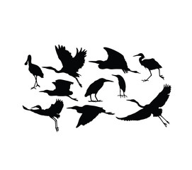 Heron and Stork Bird Silhouettes, art vector design
