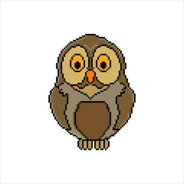 Pixel art with owl vector illustration.