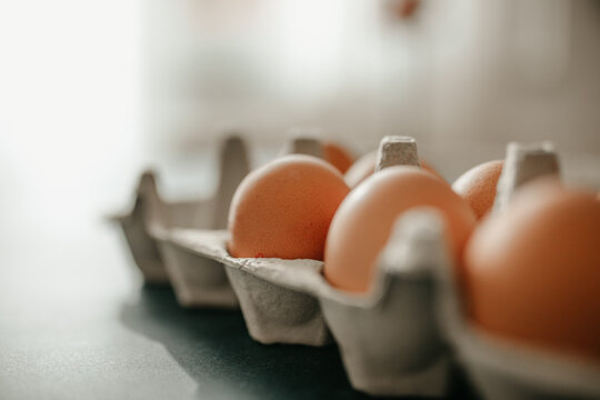 Egg Card Box