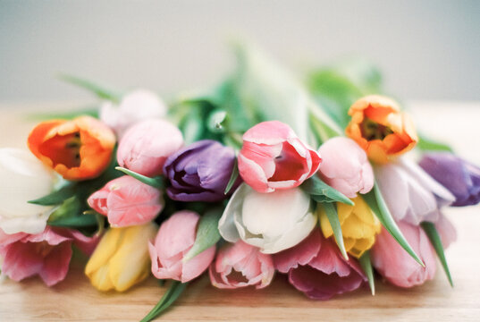 colorful tulips