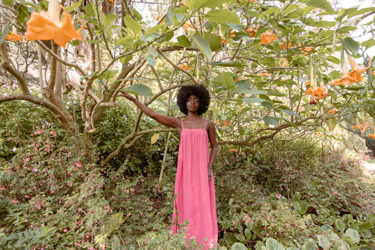 Girl in pink reaches for branch