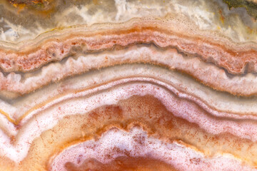 Patterns Of A Flowering Peach Lace Rock  