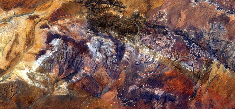 autumnal forest, allegory,  abstract photography of the deserts of Africa from the air. aerial view of desert landscapes, Genre: Abstract Naturalism, from the abstract to the figurative,