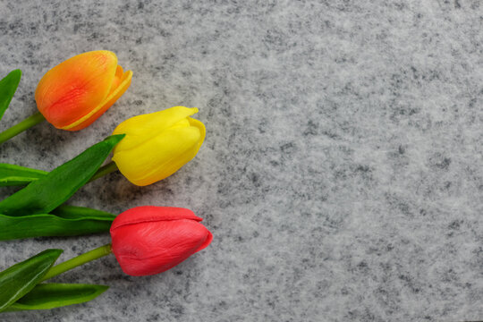 Tulips flower on gray background, colorful tulips, Valentine's day background used for desktop wallpaper or website design.