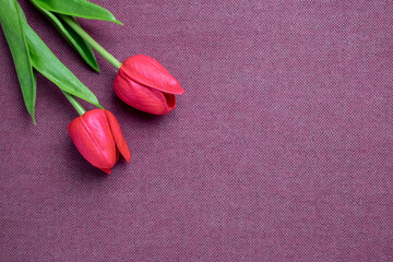 Tulip flower on rosewood background, Red tulip, 
festival background used for desktop wallpaper or website design.
