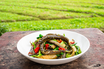 Hunan Farmhouse Spicy Loach with Firewood and Vegetables