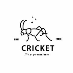 vintage retro hipster cricket logo vector outline monoline art icon