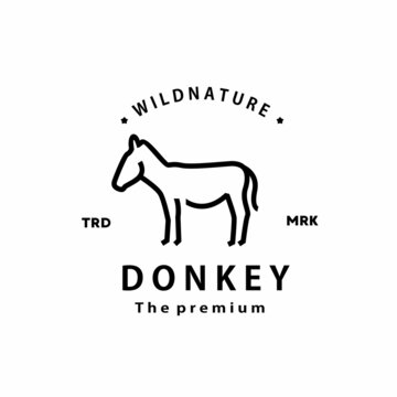 vintage retro hipster donkey logo vector outline monoline art icon