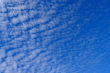 blue sky with fleecy clouds