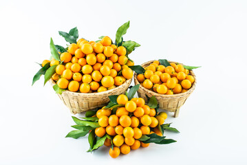Bamboo basket full of fresh kumquats