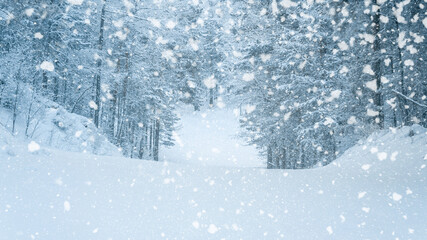 Naklejka premium Beautiful view of the snowfall on the ski slope surrounded by a snowy pine forest. Winter fairy tale.