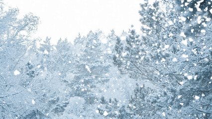 View of snowfall in snowy winter forest. Winter fairy tale.