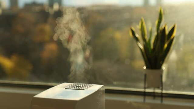Air humidifier making hot steam to increase humidity at home during dry winter weather. Indoor steam humidifier in living room for better indoor climate environment