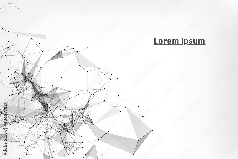 Leinwandbilder Plexus Geometric Digital Array Visualization Lines Dots Spider Web Structure Connection Vector Background. Black White Minimal Blank Area Information Illustration.