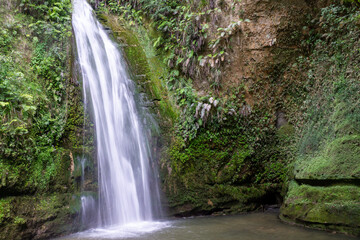 Fototapeta na wymiar Beautiful waterfall in New Zealand