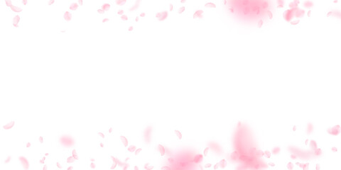 Sakura petals falling down. Romantic pink flowers border. Flying petals on white wide background. Love, romance concept. Impressive wedding invitation.